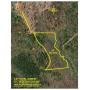 Lender Ordered Real Estate Auction - Hart and Pickens County